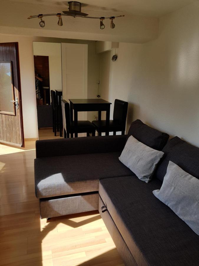 Chalet Le Muguet Villa Ovronnaz Exteriör bild